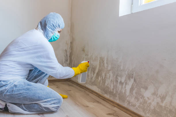 Licensed Crawl Space Mold Removal service in Framingham, MA - WQB Mold Removal