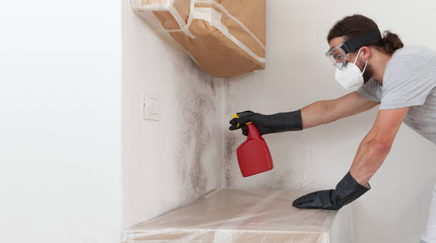 Professional Crawl Space Mold Removal technician working in Framingham, MA
