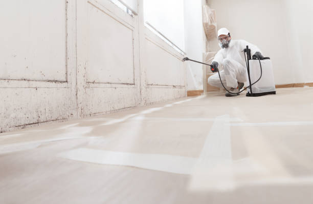 24/7 Emergency Crawl Space Mold Removal experts in Framingham, MA