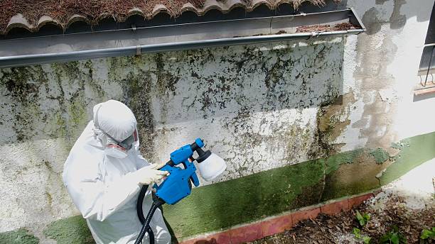 Top rated local Crawl Space Mold Removal specialists in Framingham, MA